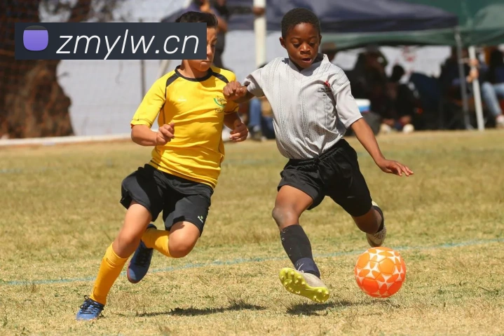 人人体育官网直播服务体系